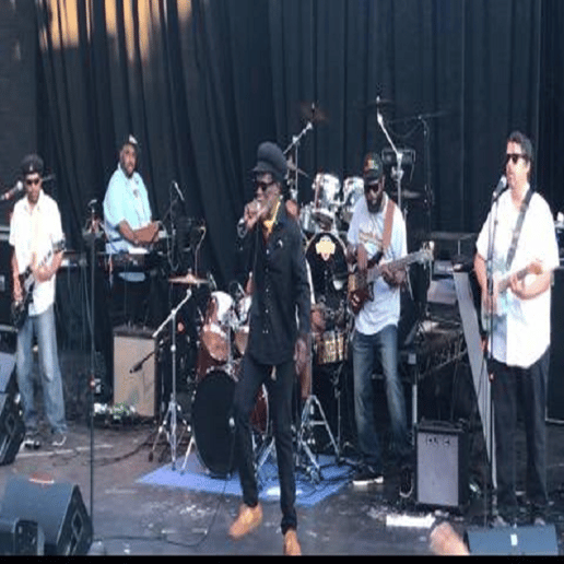 Gallery photo 2 of Jangahla Roots | Reggae Band