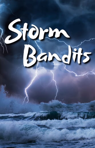 Gallery photo 3 of Storm Bandits