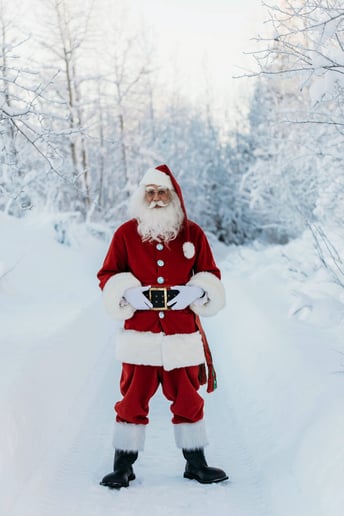 Gallery photo 1 of Storybook Santa