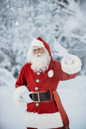 Gallery photo 5 of Storybook Santa