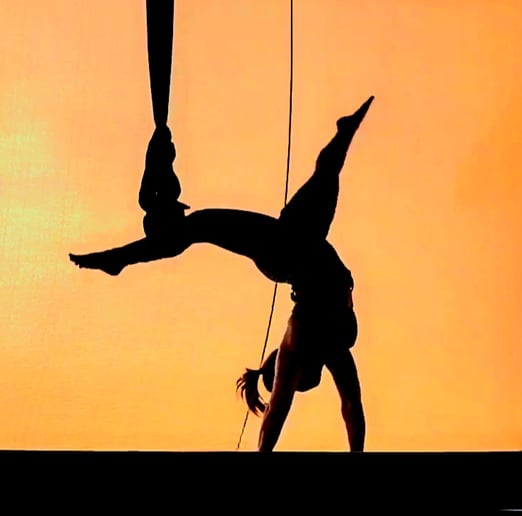 Gallery photo 3 of Strategically Tangled Entertainment