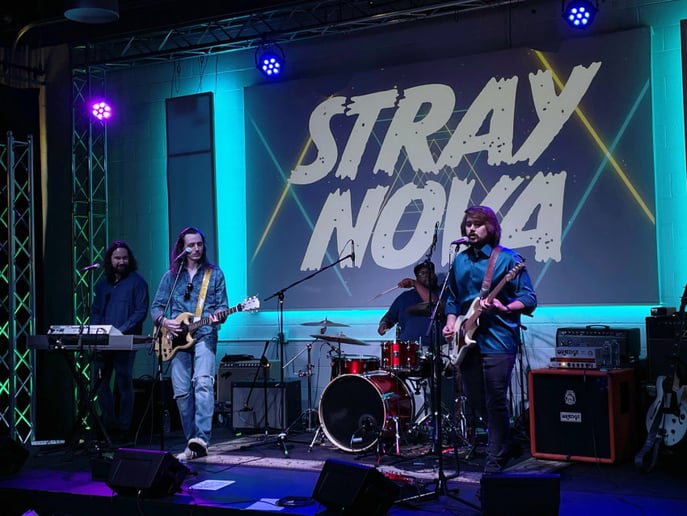Gallery photo 4 of Stray Nova