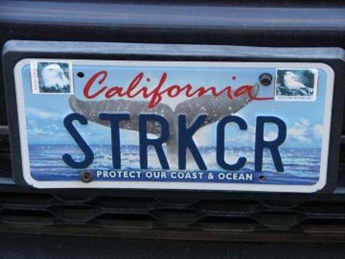 Gallery photo 1 of Street Kicker