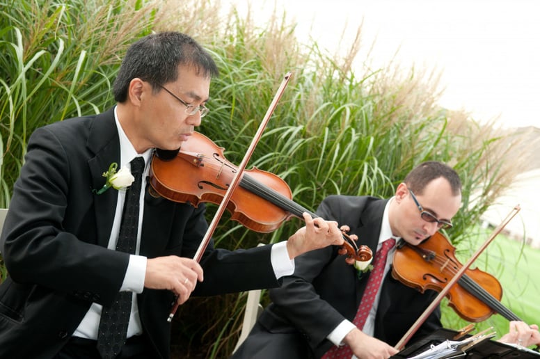 Gallery photo 2 of String Celebrations USA