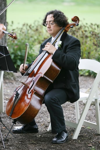 Gallery photo 3 of String Celebrations USA