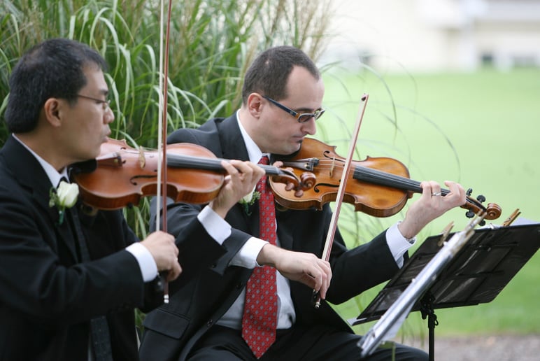 Gallery photo 4 of String Celebrations USA