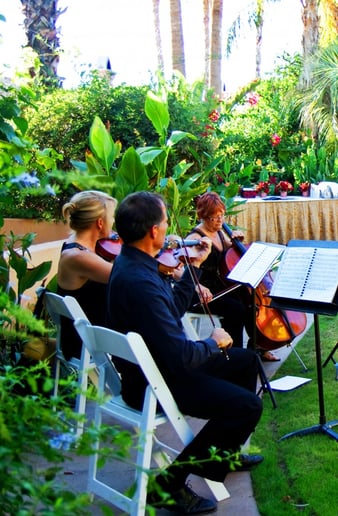 Gallery photo 1 of String Serenade East