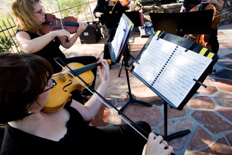 Gallery photo 2 of String Serenade East