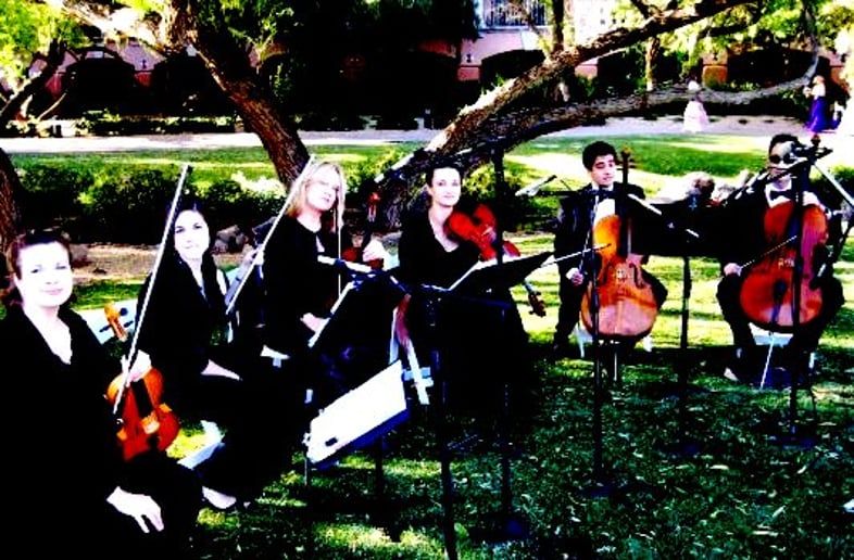 Gallery photo 3 of String Serenade East