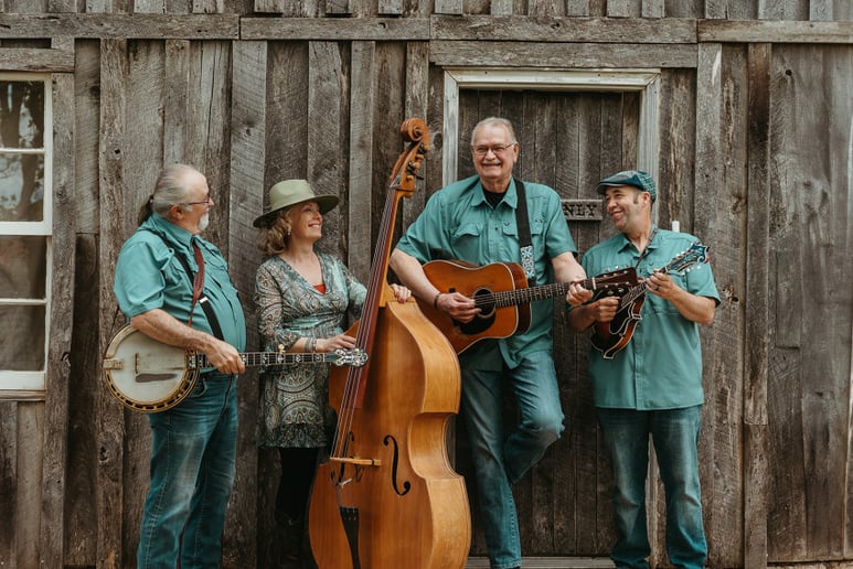Gallery photo 9 of Stringed Union