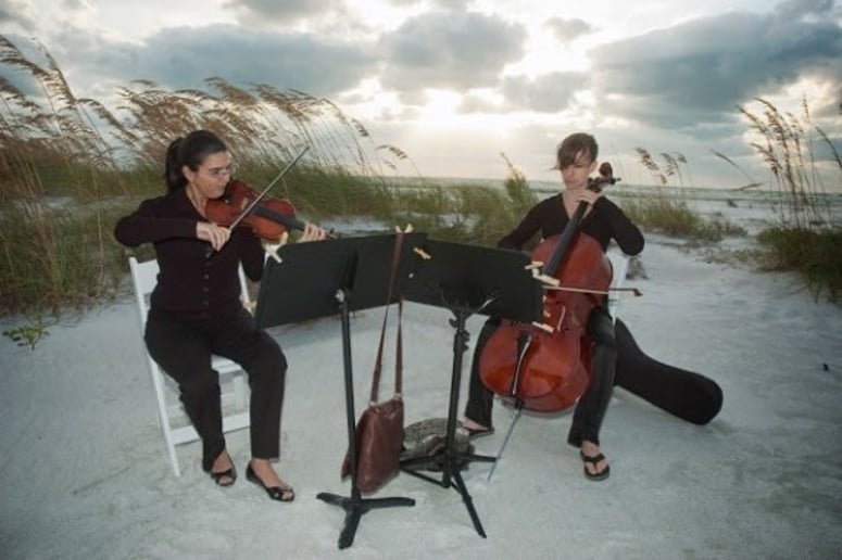 Gallery photo 2 of Strings Attached Inc.
