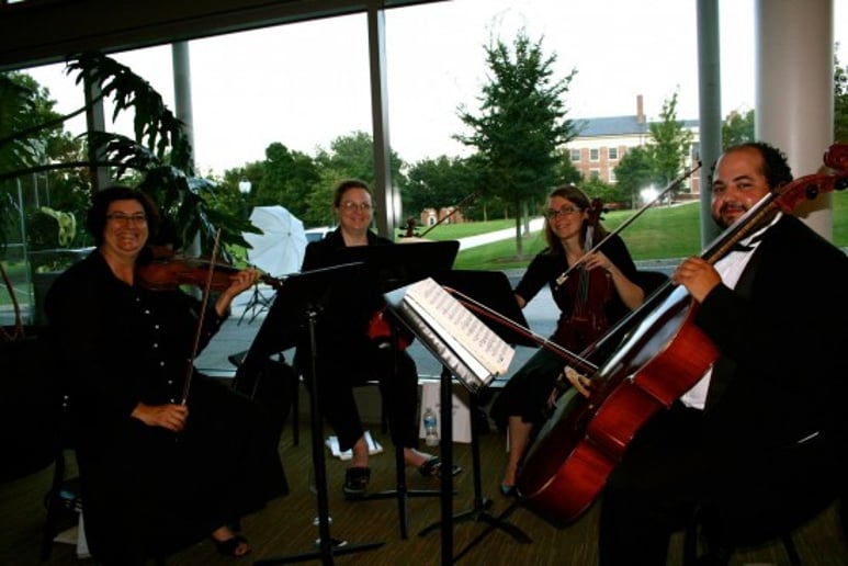 Gallery photo 1 of Strings, Etc!