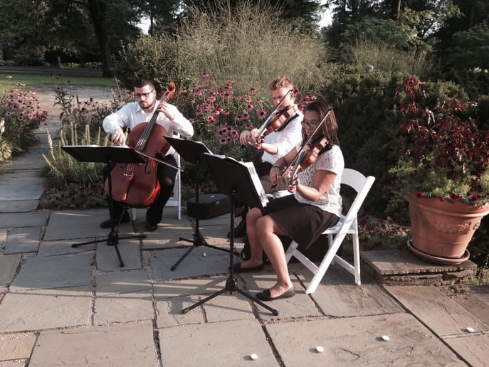 Gallery photo 9 of Strings in One