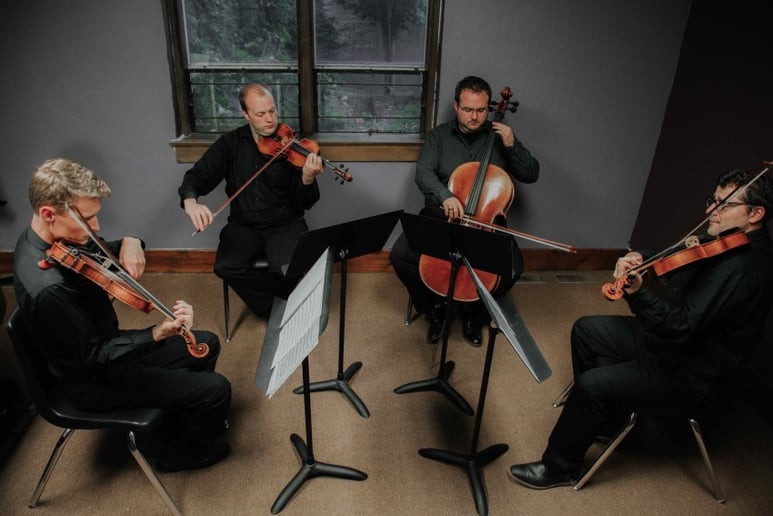 Gallery photo 6 of Strings in One
