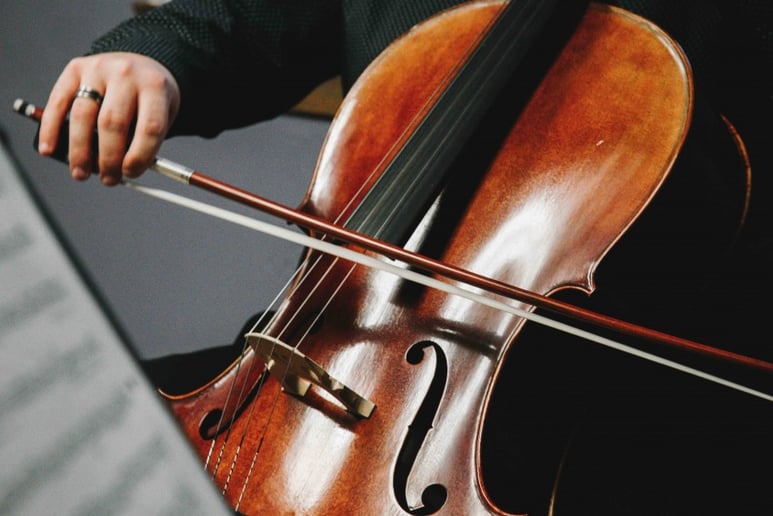 Gallery photo 5 of Strings in One