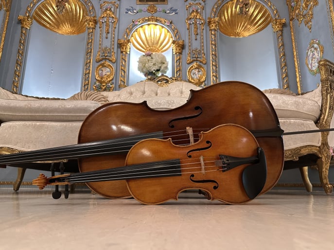 Gallery photo 8 of Strings Live Music