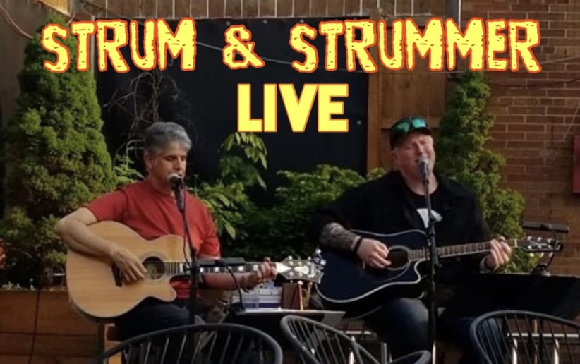 Gallery photo 1 of Strum & Strummer