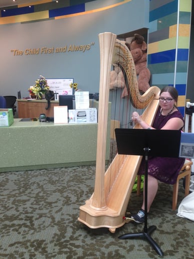 Gallery photo 1 of Strummed Strings Harp