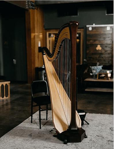 Gallery photo 4 of Strummed Strings Harp