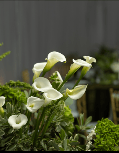 Gallery photo 13 of Studio 131 Weddings & Events