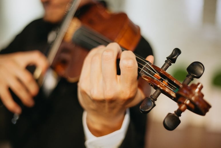 Gallery photo 5 of Suite Strings