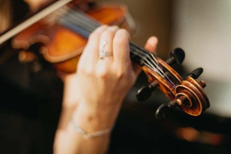 Gallery photo 6 of Suite Strings