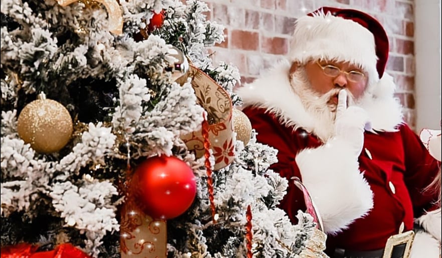 Gallery photo 2 of Sully Claus