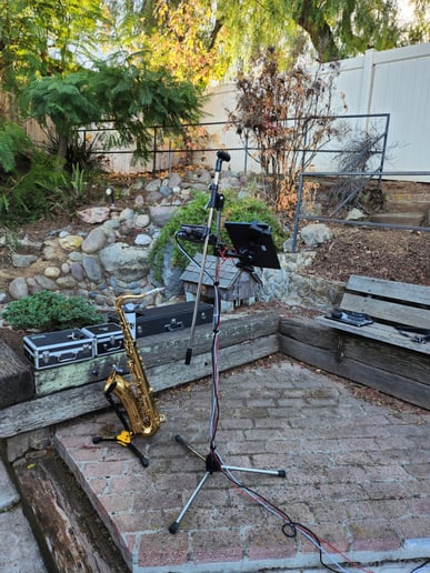 Gallery photo 1 of Sultry Sax