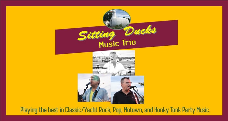 Gallery photo 4 of Sitting Ducks Music Trio