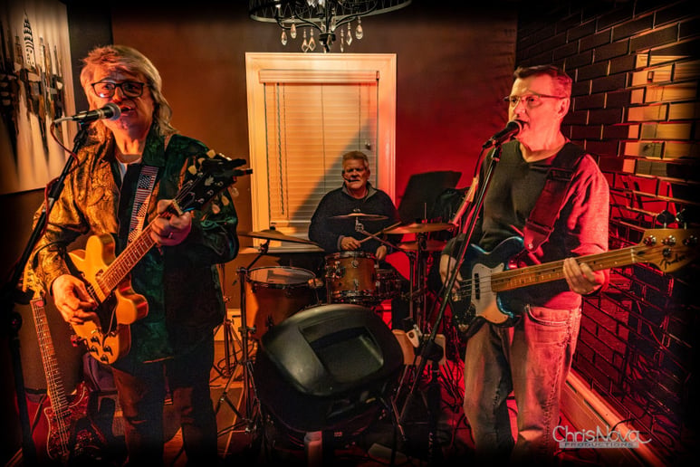 Gallery photo 1 of Sitting Ducks Music Trio