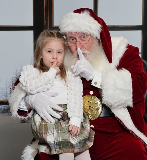 Gallery photo 8 of Summertime Santa