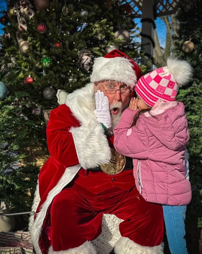 Gallery photo 9 of Summertime Santa
