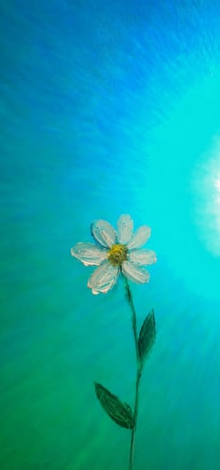 Gallery photo 8 of The Ultimate Aura Experience (Live Sunlight Technology)