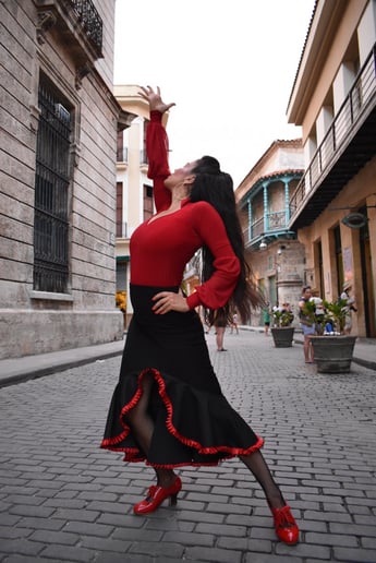 Gallery photo 2 of Urban Flamenka