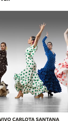 Gallery photo 5 of Urban Flamenka