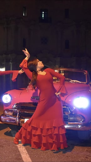 Gallery photo 6 of Urban Flamenka
