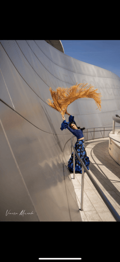 Gallery photo 8 of Urban Flamenka