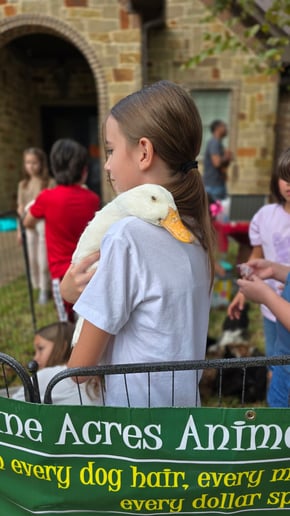 Gallery photo 8 of Sunshine Acres Mobile Petting Zoo