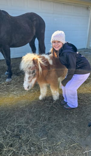 Gallery photo 9 of Sunshine Acres Mobile Petting Zoo