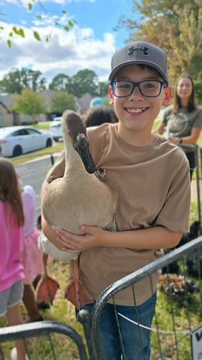 Gallery photo 10 of Sunshine Acres Mobile Petting Zoo