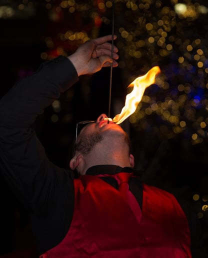 Gallery photo 19 of Sunshine Fire Entertainment