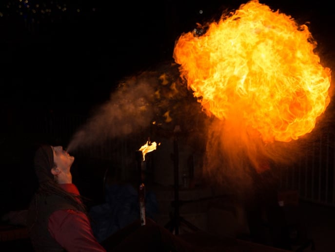 Gallery photo 23 of Sunshine Fire Entertainment