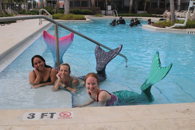 Gallery photo 6 of Sunshine Sirens Mermaid School