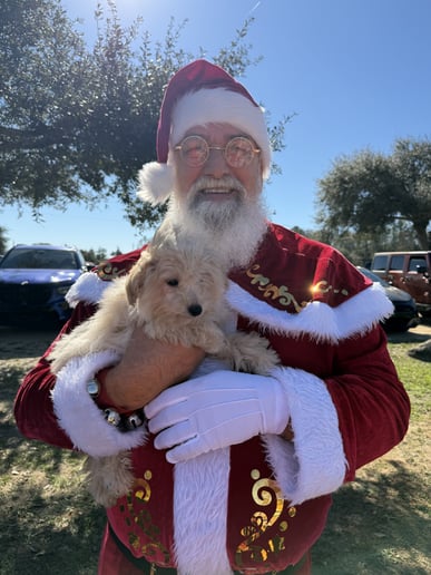 Gallery photo 1 of Sunshine State Santa