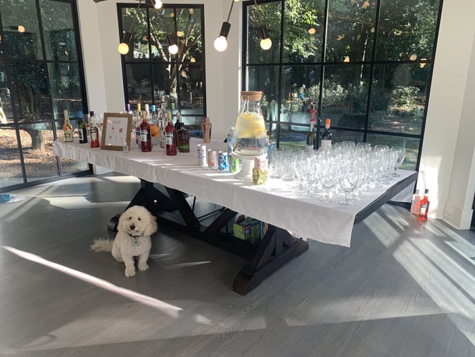 Gallery photo 8 of Sunshine The Bartender