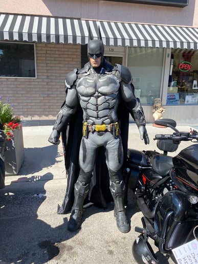 Gallery photo 2 of Super Heros Home