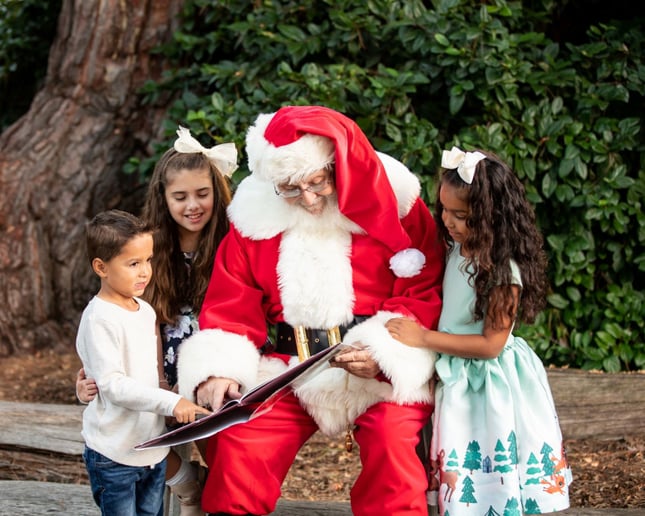 Gallery photo 5 of Santa Richard
