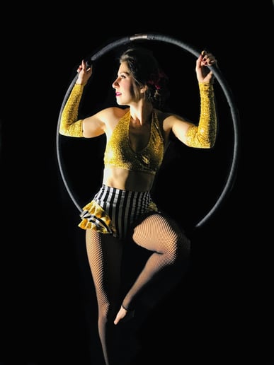 Gallery photo 2 of Susan L Rosone Aerialist
