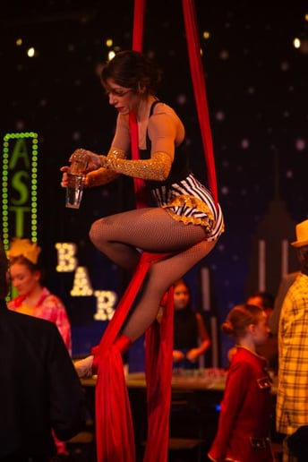 Gallery photo 3 of Susan L Rosone Aerialist