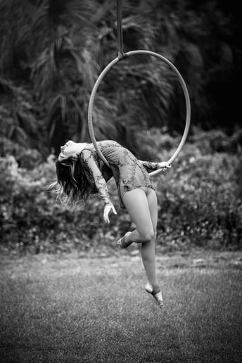 Gallery photo 7 of Susan L Rosone Aerialist